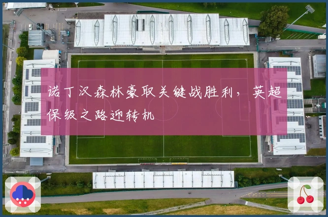 诺丁汉森林豪取关键战胜利，英超保级之路迎转机